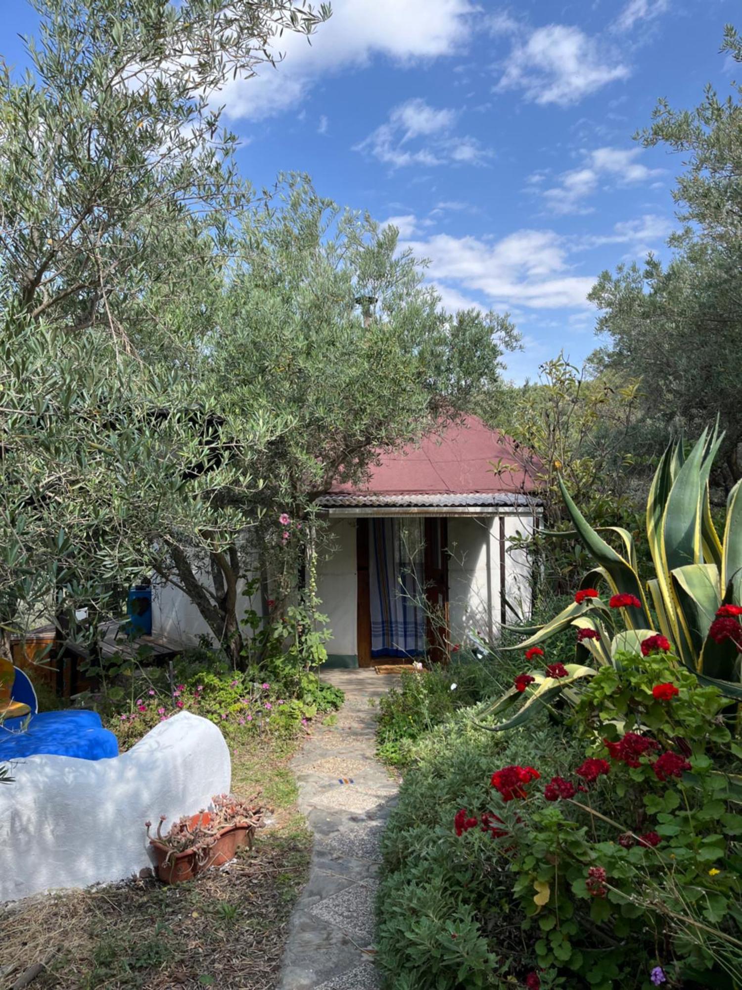 Cortijo Alhijra Big Yourte 란야론 외부 사진